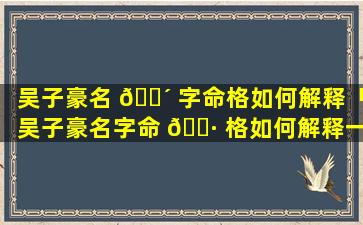 吴子豪名 🌴 字命格如何解释「吴子豪名字命 🌷 格如何解释一下」